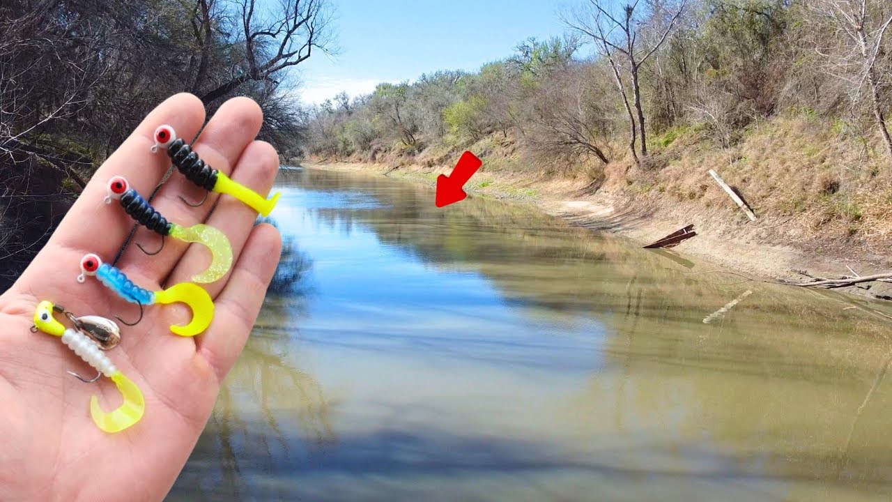 White Bass Run - Nueces River TX