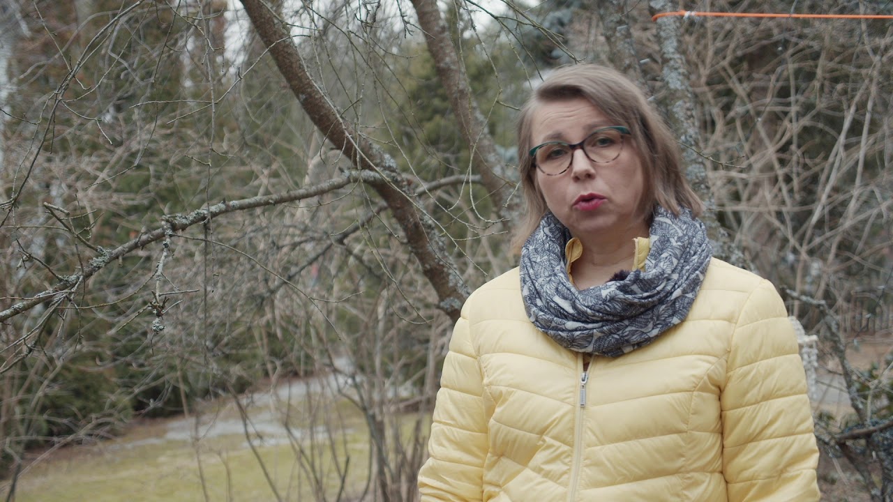 Sini opettaa - perheen voimavarat