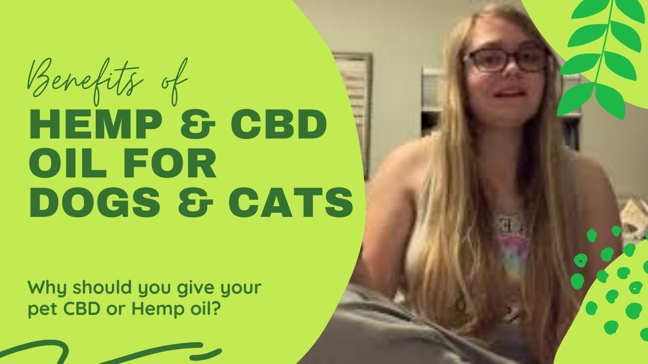Hemp for Dogs?! Benefits of Hemp & CBD Oil for Pets