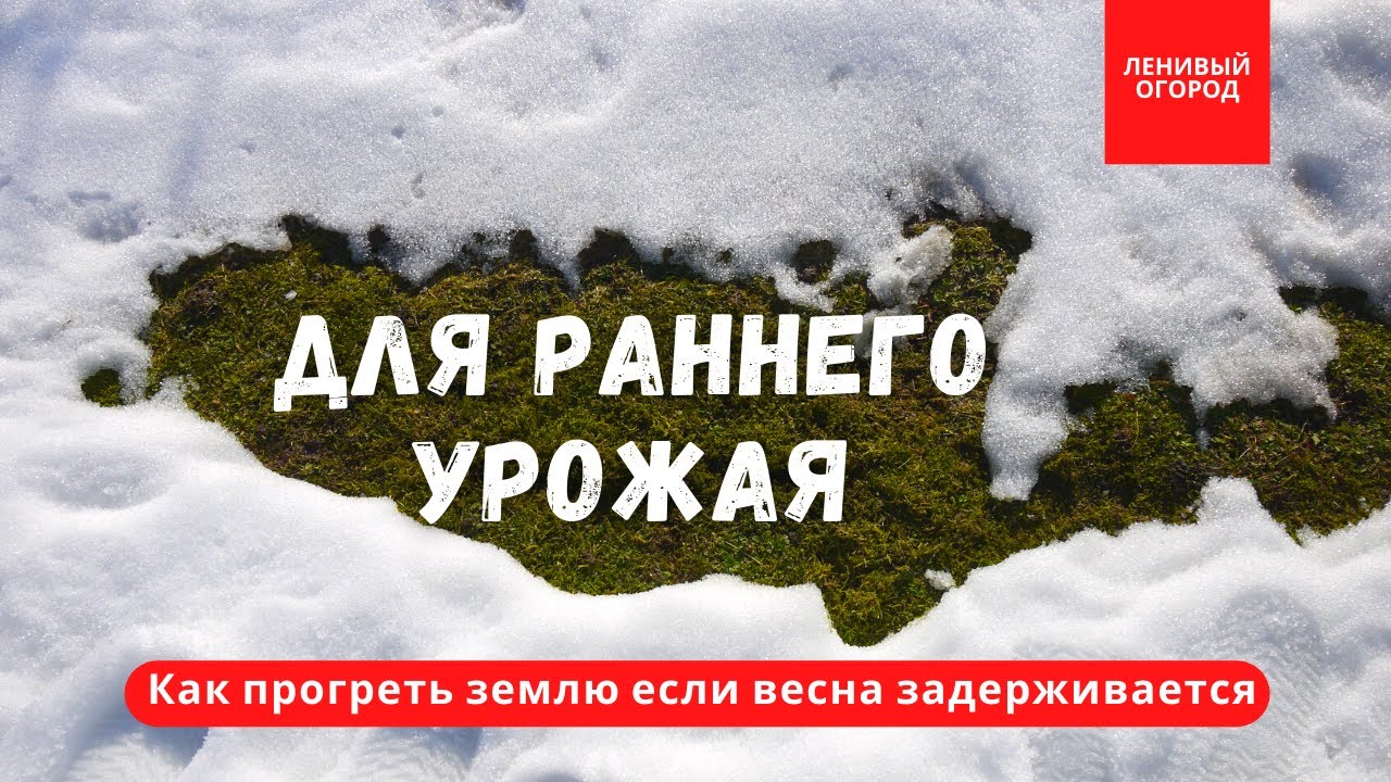 3 способа прогреть землю если весна задерживается | Для раннего урожая в вашем огороде или теплице