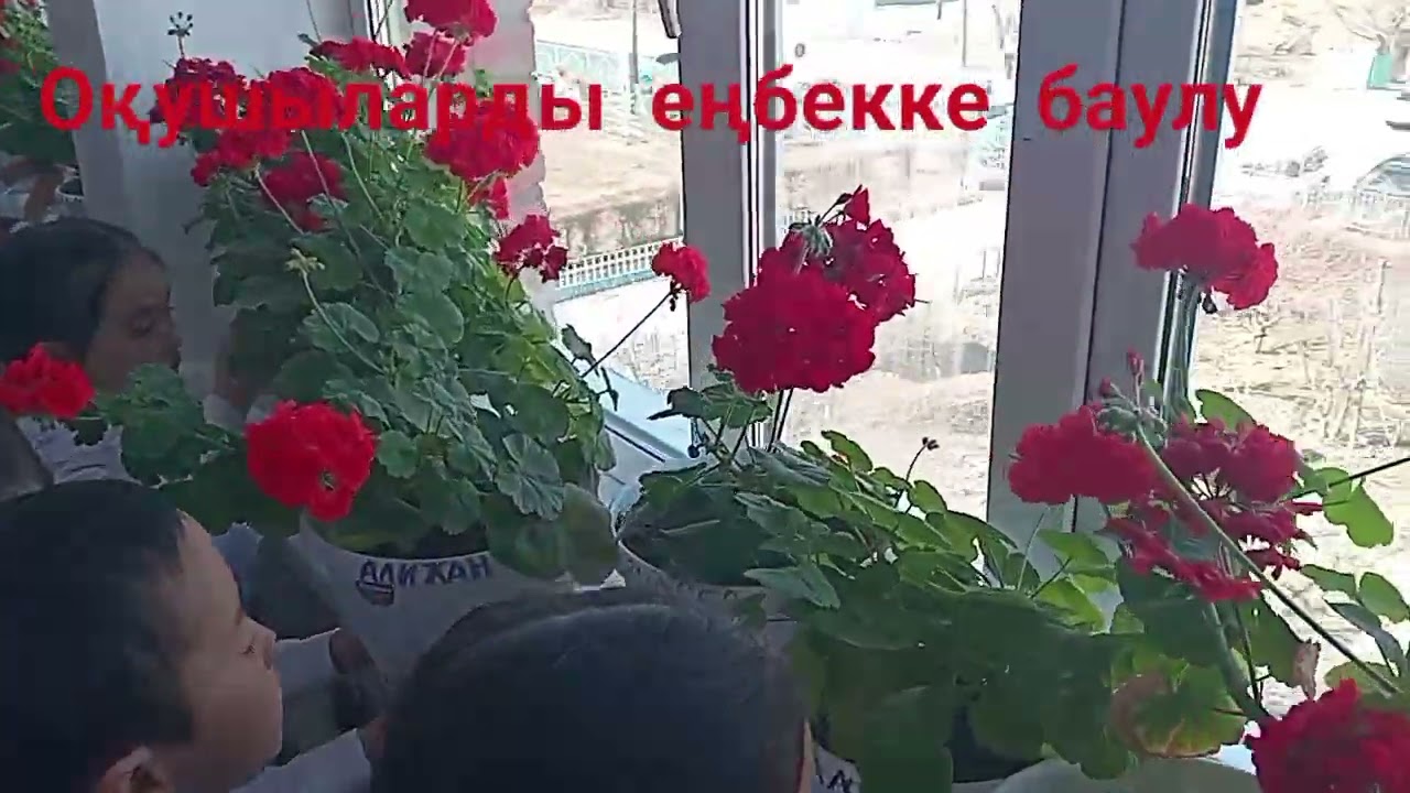 Оқушыларды еңбекке баулу