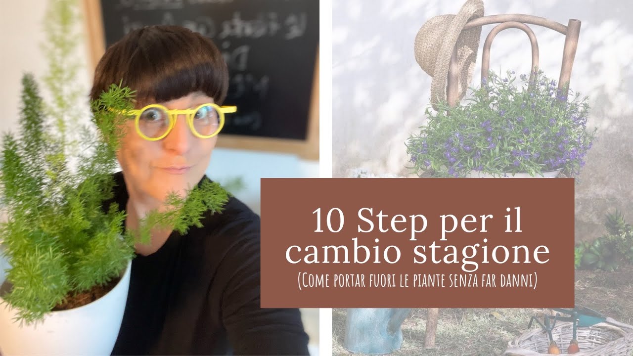 Cosa fare a Marzo- Aprile ! (10 step da seguire in primavera)