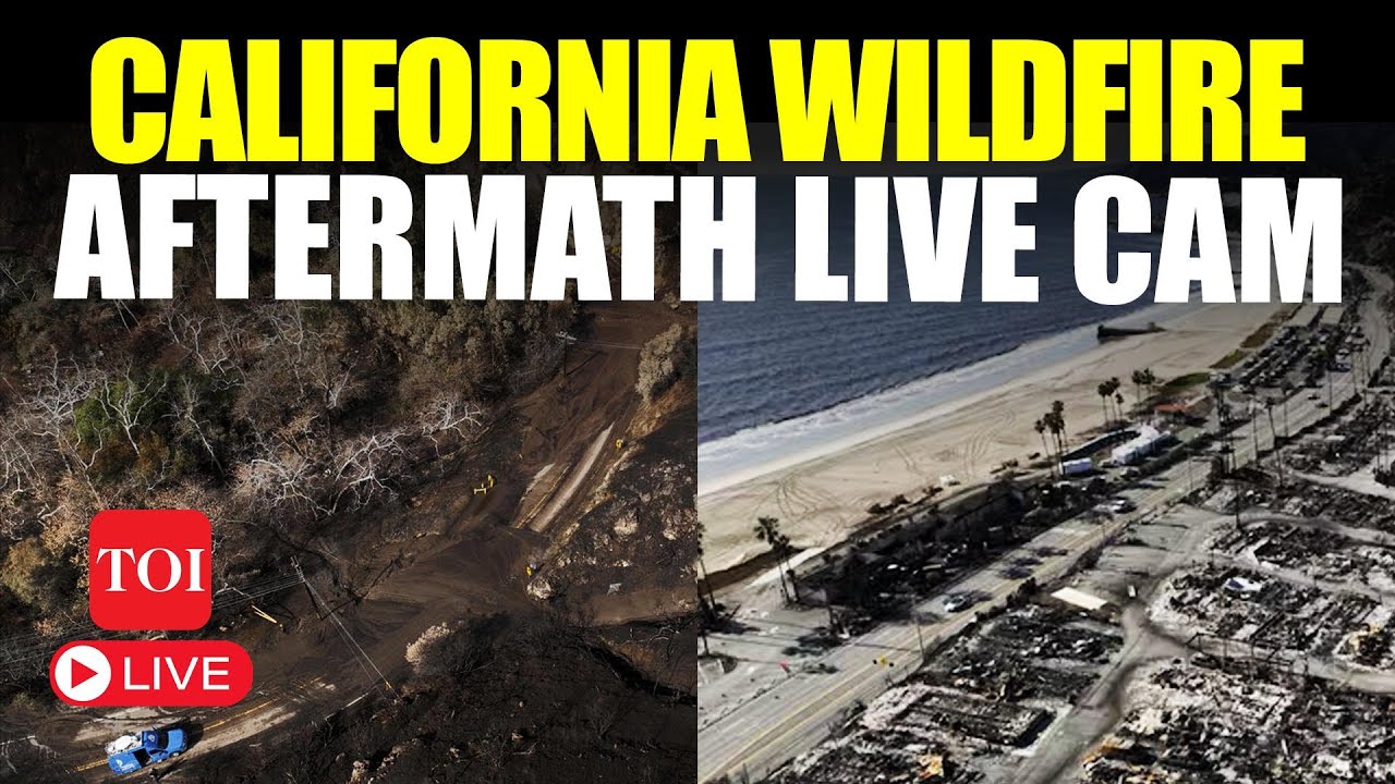 California Wildfire LIVE Updates: Aerial Footage Shows Big Damage From Palisades Fire | LA Fire