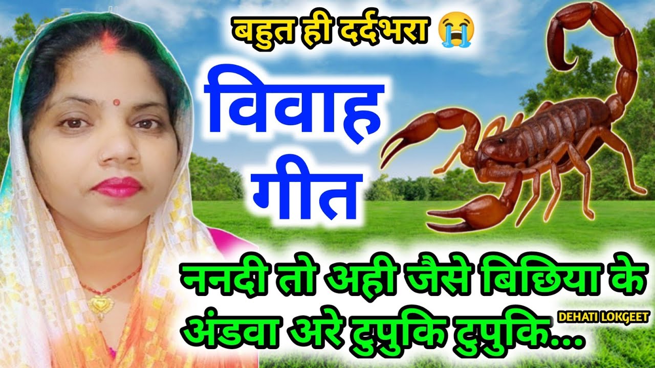 विवाह गीत। Vivah geet। बहुत ही मजेदार विवाह गीत।ननदी तो अही जैसे बिछिया से अंडवा अरे टुपुकि टुपुकि..