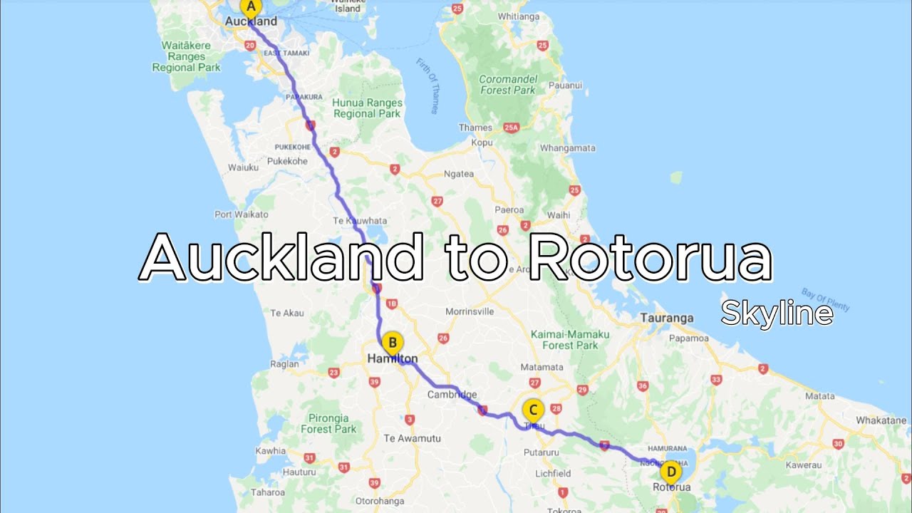Driving Tour - From Auckland to Rotorua via Hobbiton