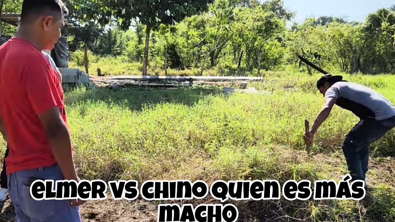 don lino puso a prueba a chino y a elmer/quién de los dos es más hombre en el canal??