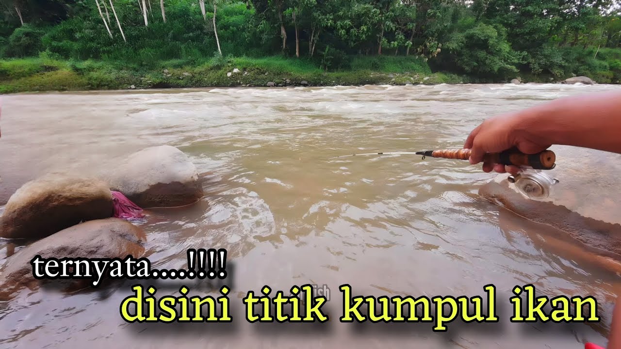 Ahirnya...!!!! Ketemu Juga Titik Kumpul Ikan Uceng Babon