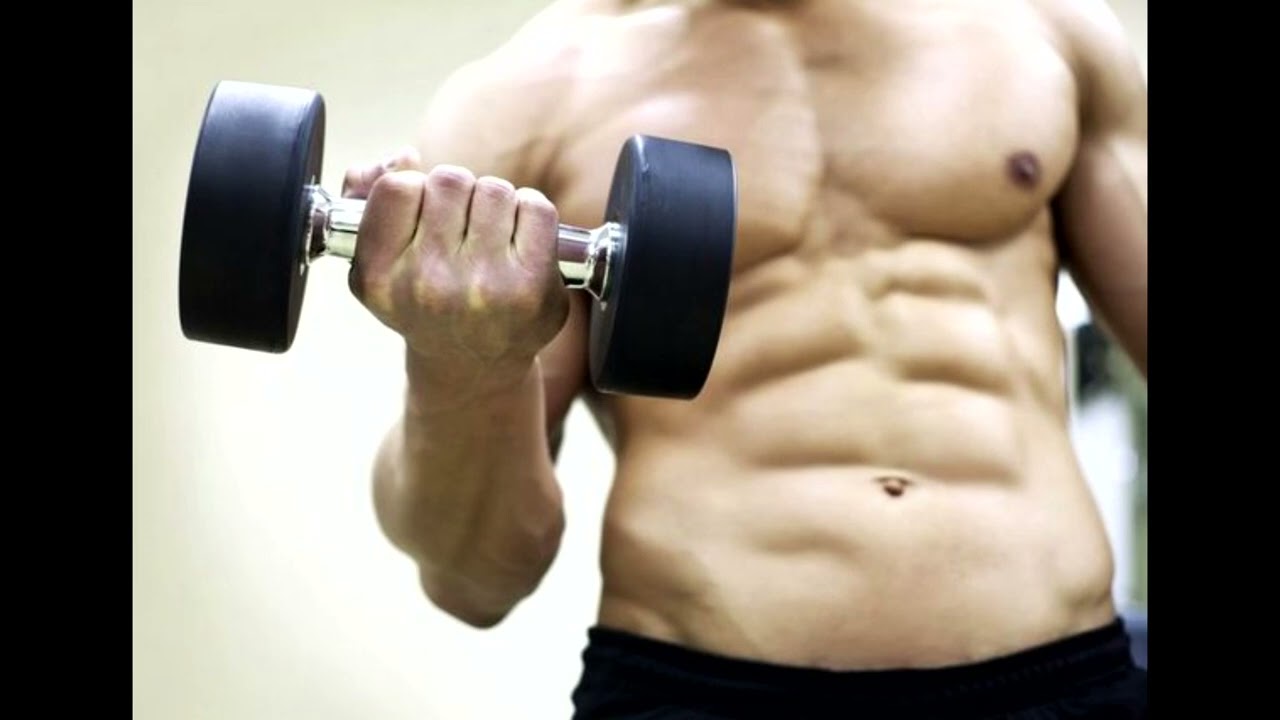 supercharged 4D muscle bulk field