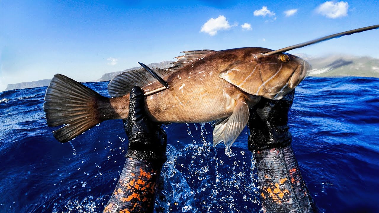 SPEARFISHING ALONE...