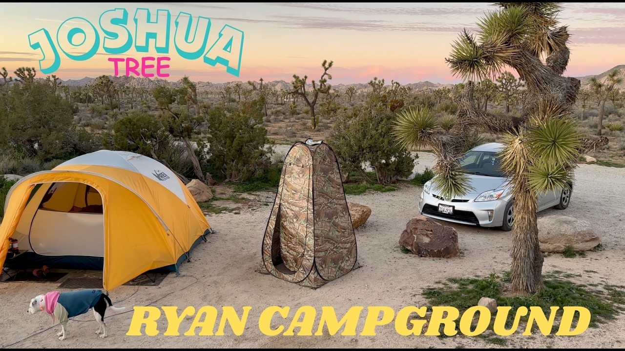 4 days Camping in Joshua Tree -- RYAN CAMPGROUND 2026