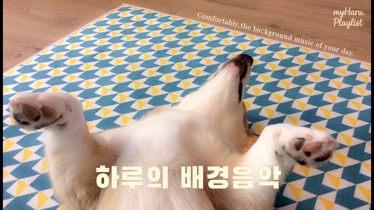 봄이 오면 깨워 주세요 | indie pop playlist