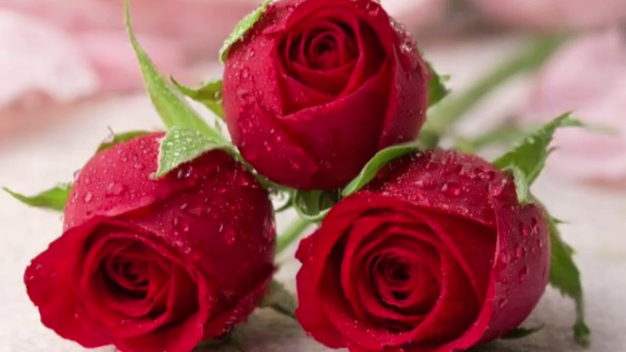 Tum Hi Ho Meri Dua #viral #song #romanticmusic #romantic #softmusic@GaanesongA93 