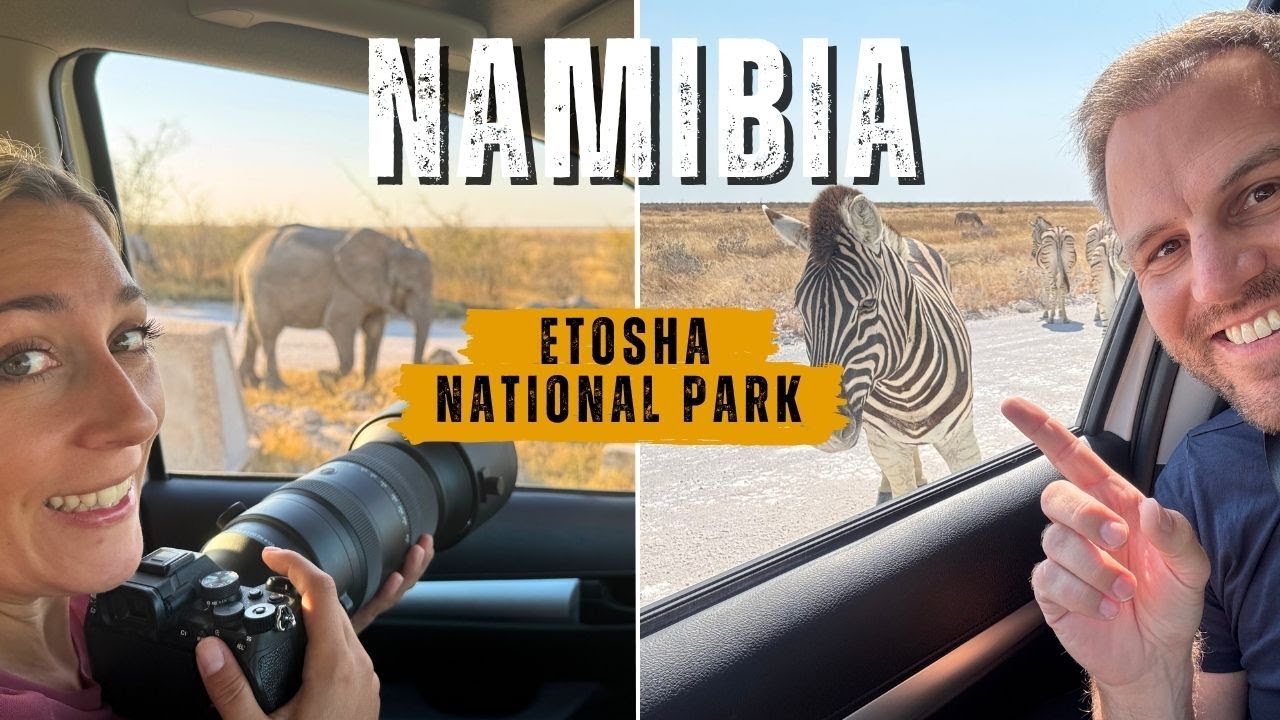 Namibia Selbstfahrer Safari im Etosha National Park #wildlife #nature #namibia #safari 