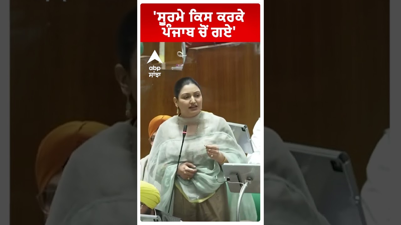 Anmol Gagan Mann | 'ਸੂਰਮੇ ਕਿਸ ਕਰਕੇ ਪੰਜਾਬ ਚੋਂ ਗਏ'  | AAP MLA | Punjab News | Abp Sanjha | Shorts