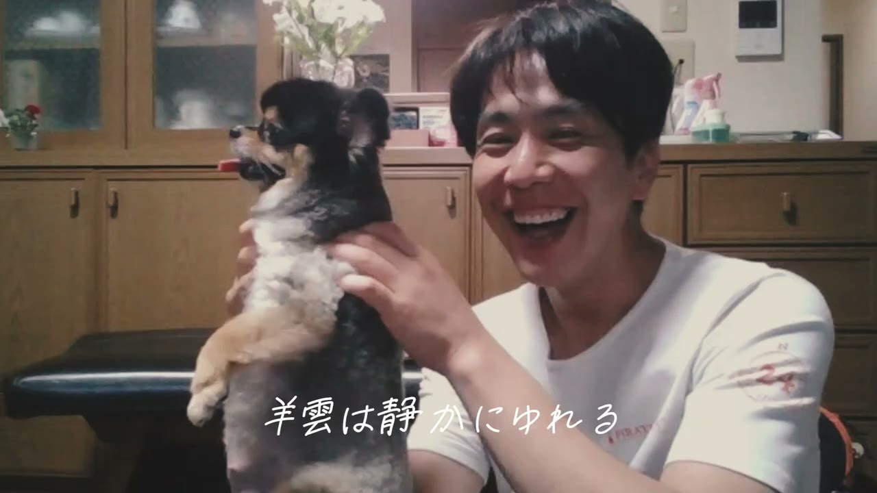 【追悼】愛犬ポニョ、13年の軌跡。四十九日に寄せて｜ありがとう、僕の家族。