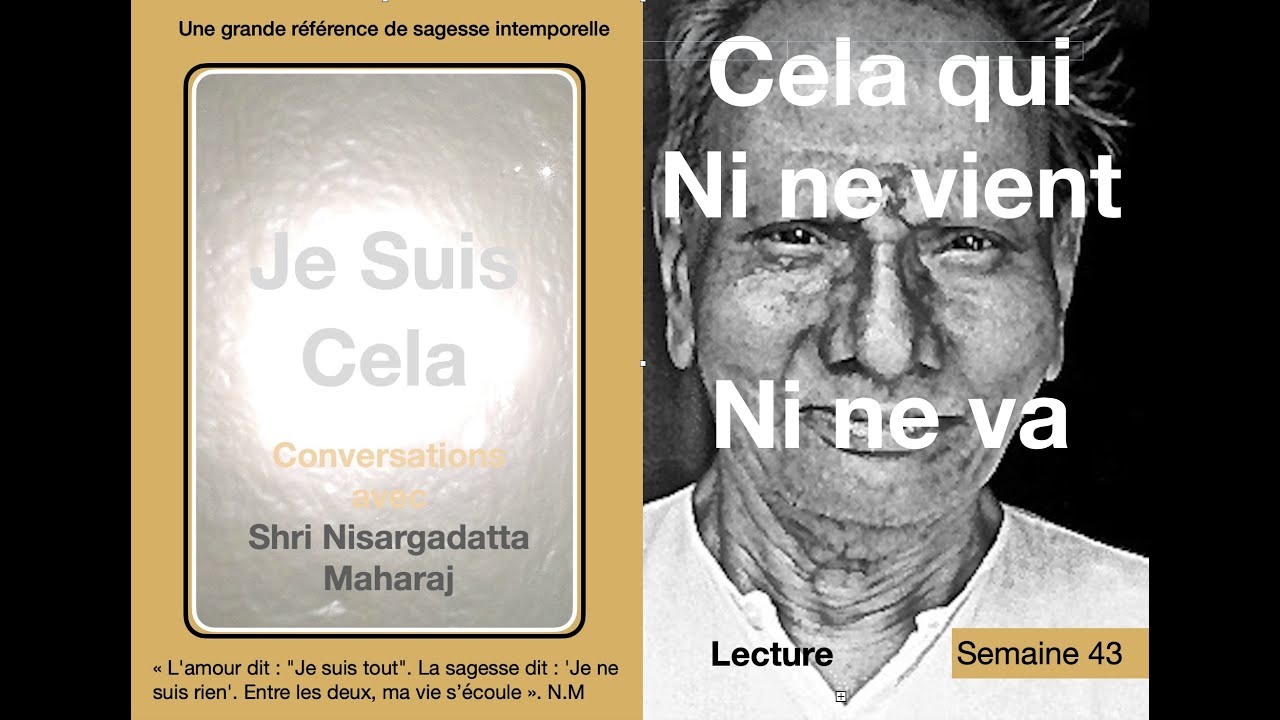 Je suis Cela 43 : Cela qui ni ne vient ,ni ne va  !