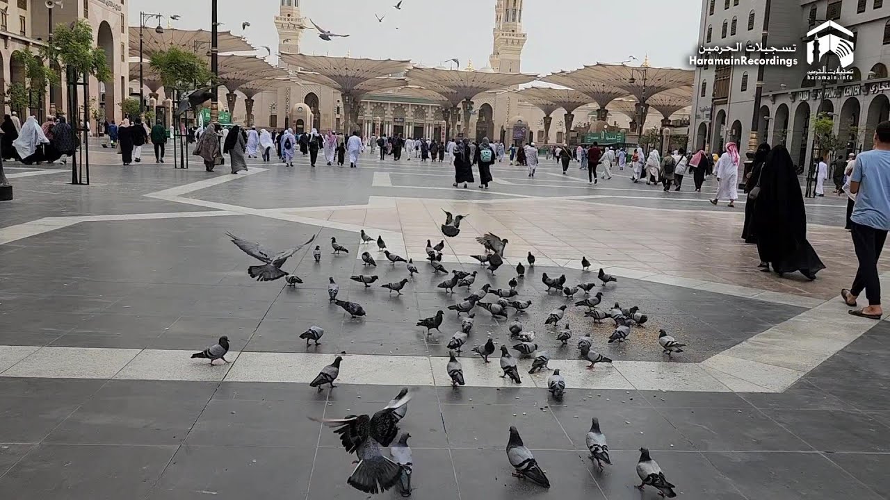 Walk towards Masjid Nabawi during Asr Adhaan by Sheikh Muhammad Hakeem | 17th Aug 2023
