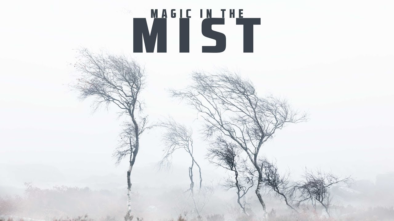 Magic in the Mist | Landscape Photography
