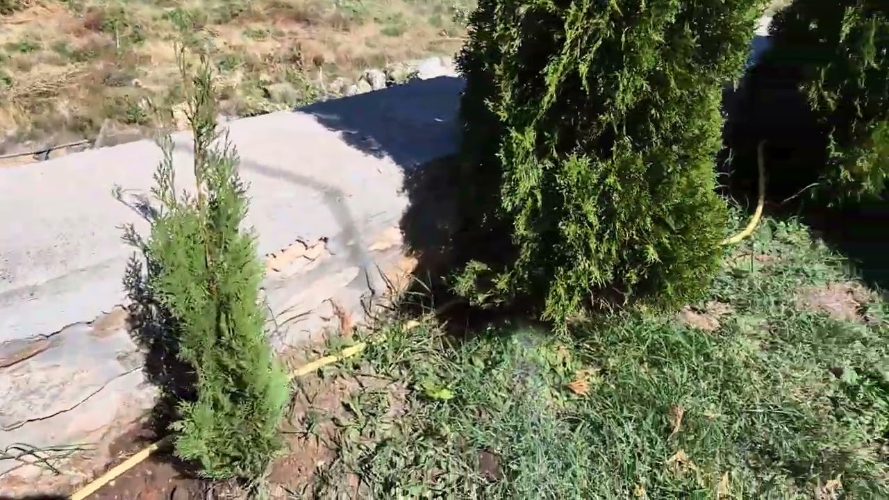 Parkside automatic timer watering system programming in your garden