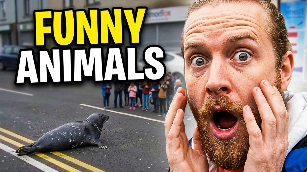 Try Not To Laugh | Funniest Animal Moments Compilation