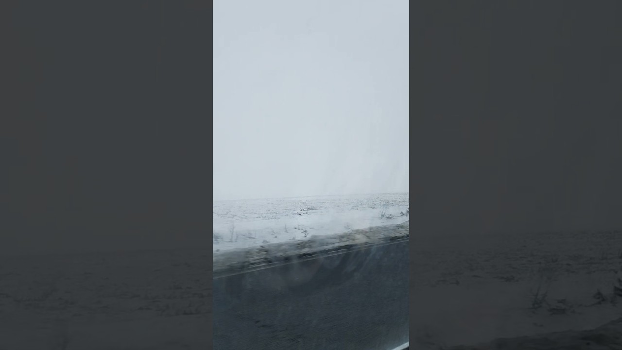 Foggy and snowy
