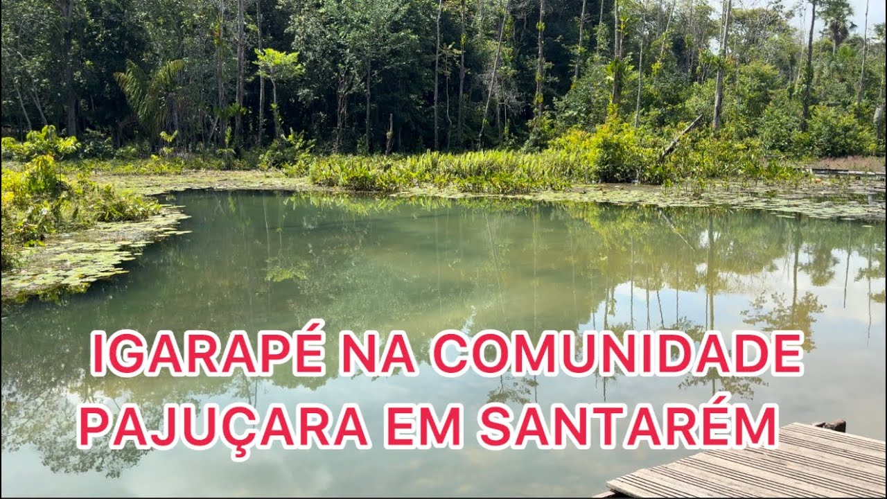 Igarapé na comunidade Pajuçara em Santarém!