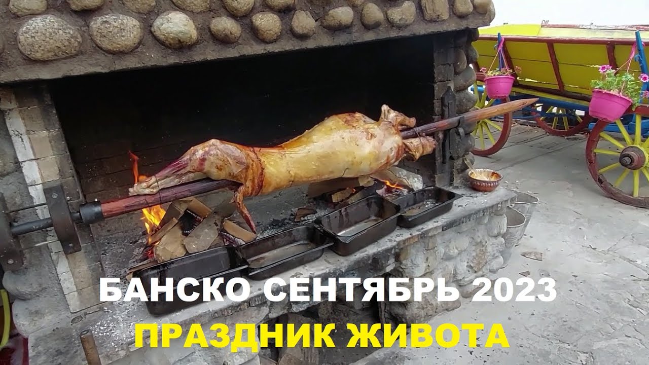 БАНСКО: ПРАЗДНИК ЖИВОТА