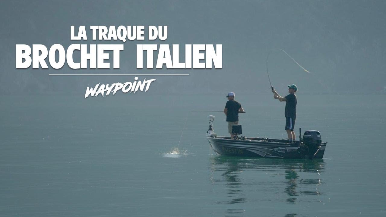 L'un des plus beaux spots pour la pêche du brochet !!! WAYPOINT