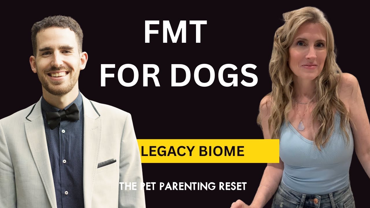 Why FMT Is a Game Changer for Your Dog’s Gut Health