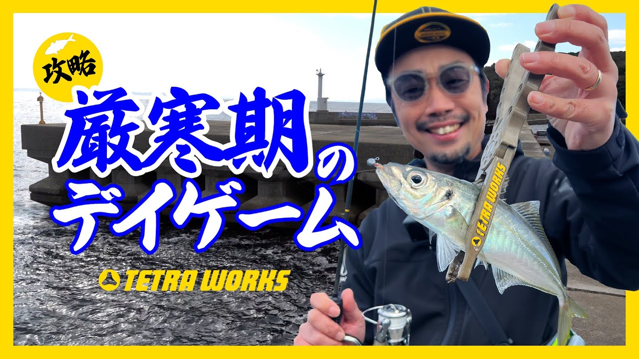 【デイアジング】厳寒期のアジング〜強風・低水温・低活性どう攻める？