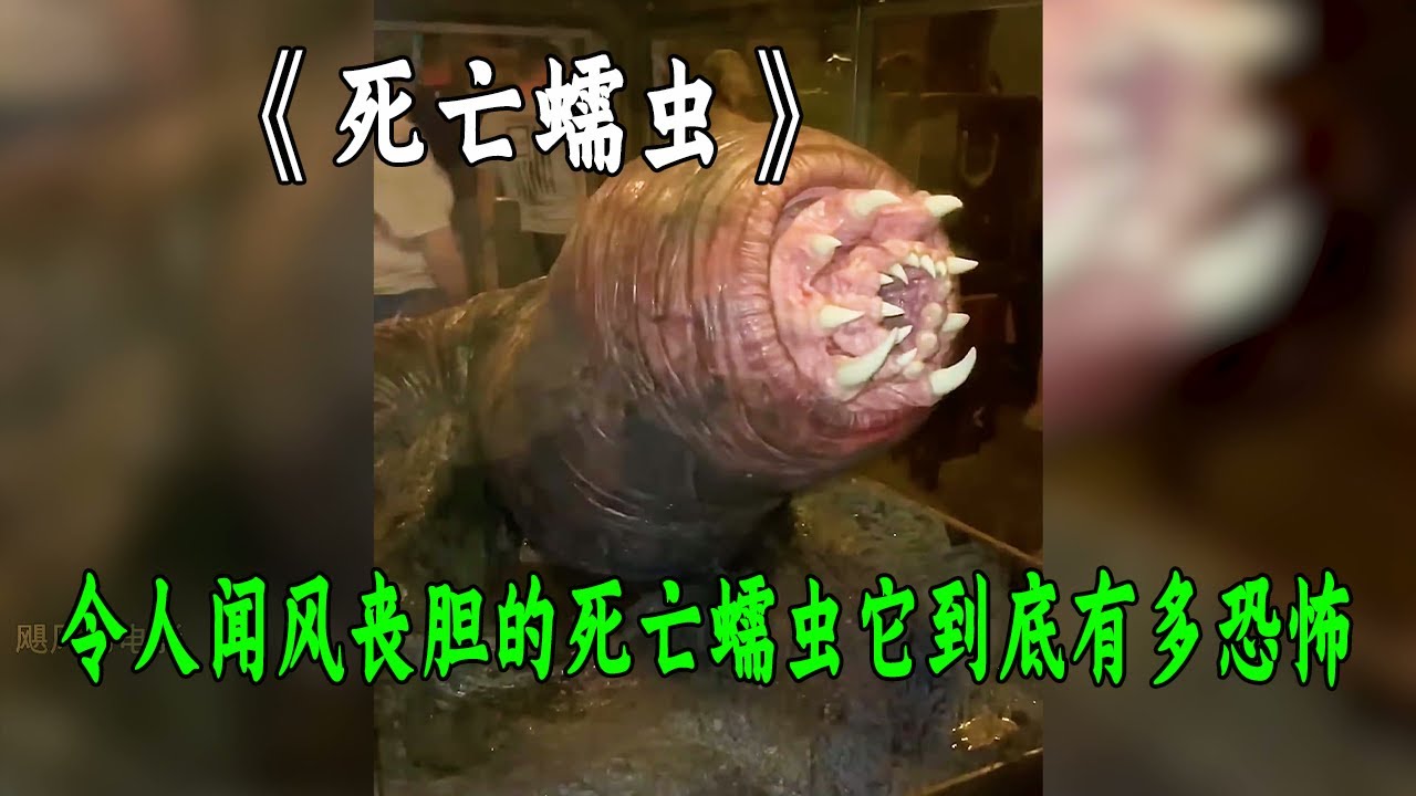 民間傳說中令人談之色變的死亡蠕蟲它到底有多恐怖？
