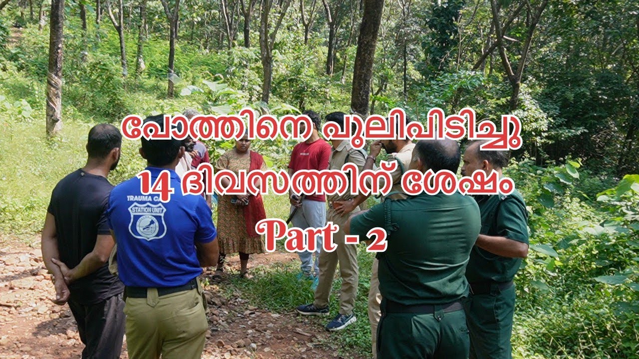 അമ്മിനിക്കാട് കൊടുകുത്തിമലയിൽ പോത്തിനെ പുലിപിടിച്ച സംഭവം | Part - 2 | Tiger attack