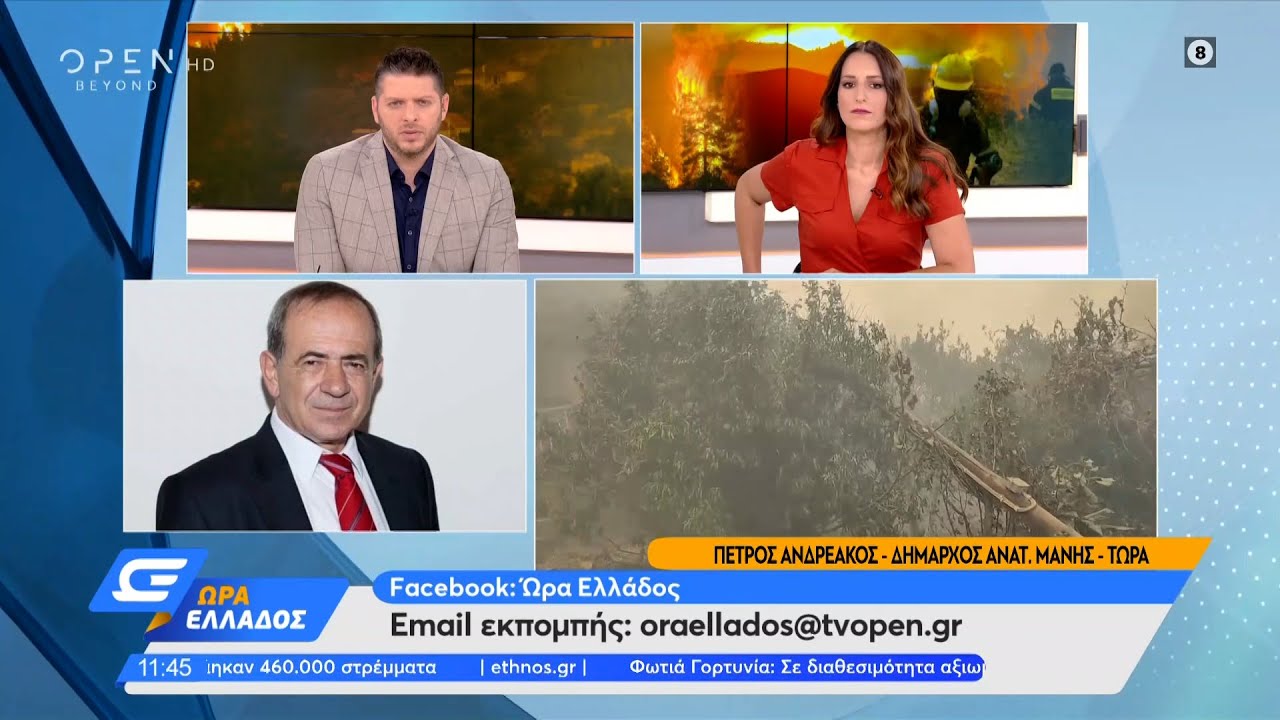 Δήμαρχος ανατολικής Μάνης:Κάηκαν περιουσίες, εκλιπαρούσα για ένα ελικόπτερο  | Ώρα Ελλάδος | OPEN TV