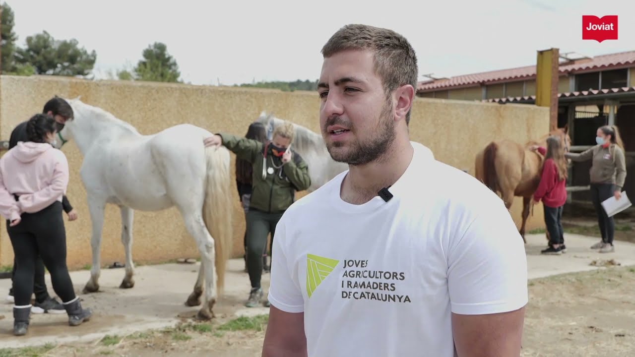 GS Ramaderia Assistència  sanitat animal JOVIAT