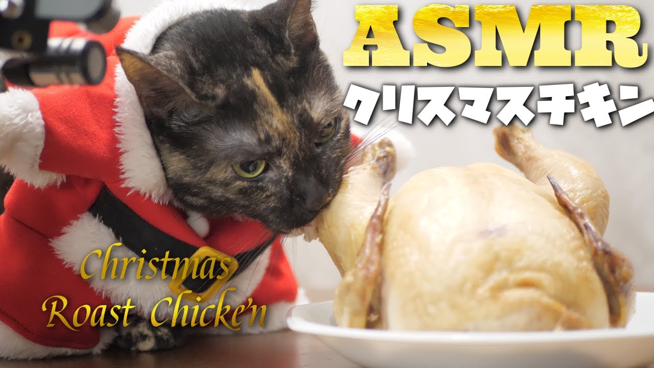 【ASMR】🎅🎄Кошка ест жареную курицу на Рождество🐈🍗🎧