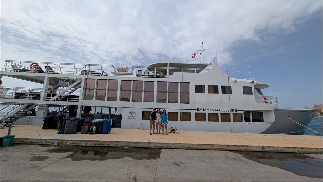 Our Dream Liveaboard with Bahamas Aggressor 2