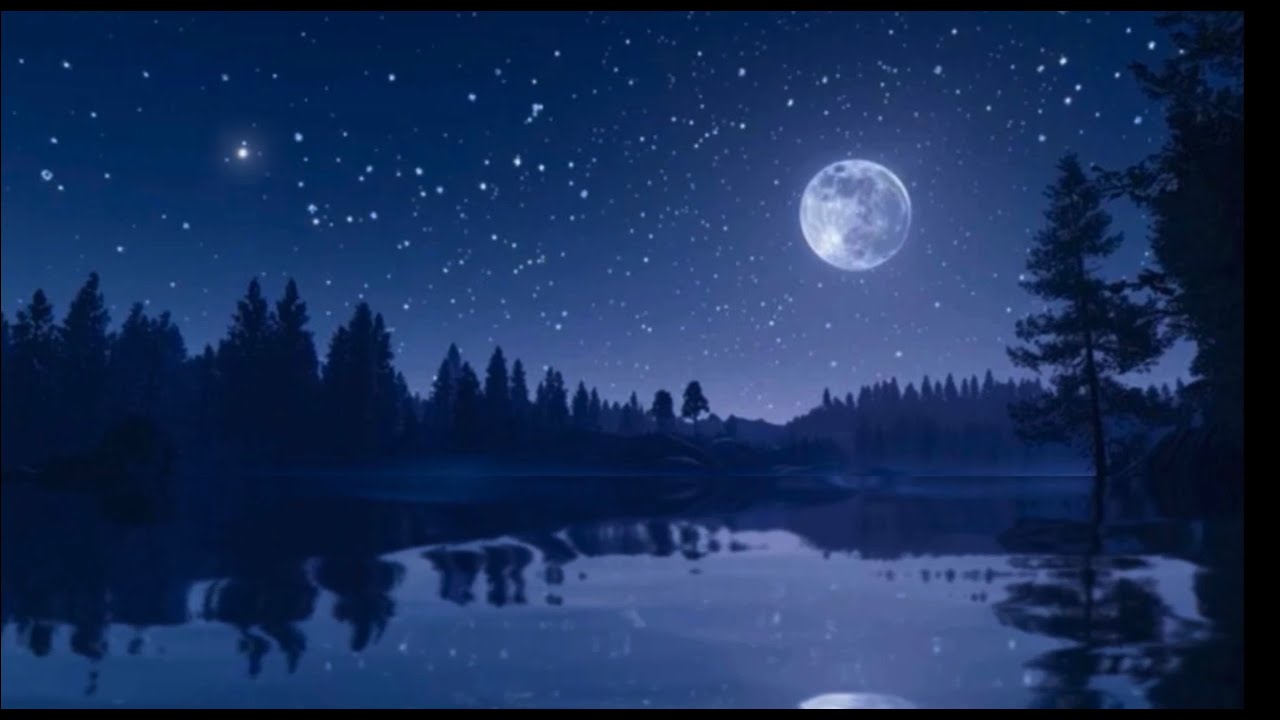 Your next Favorite Sleep Sound.
