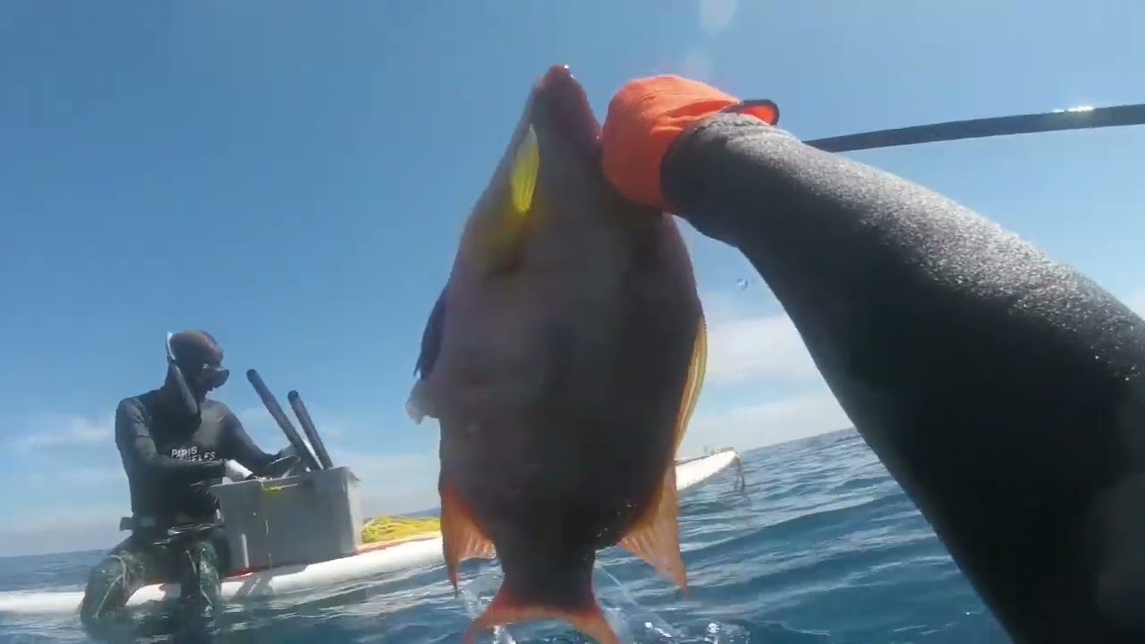 Espectacular día de pesca ( una buena barracuda )
