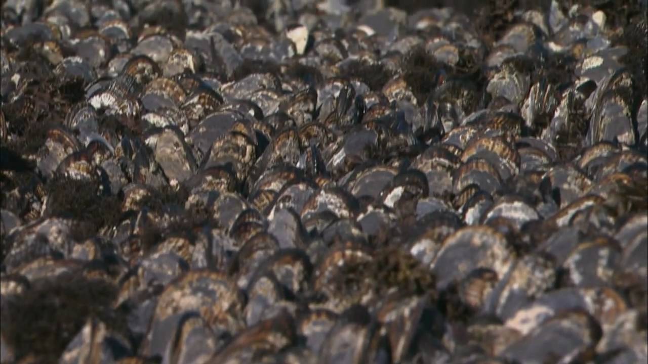 Climate Watch: California at the Tipping Point