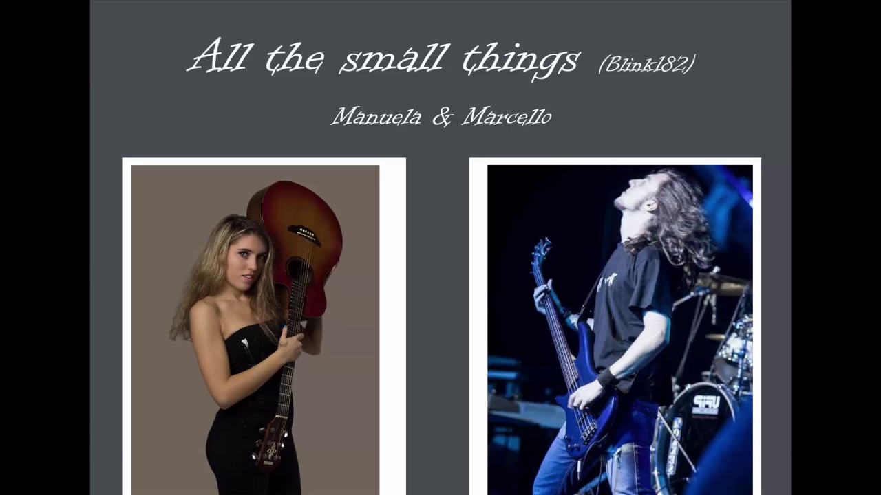All the small things - Blink182 (Cover by Manuela & Marcello)
