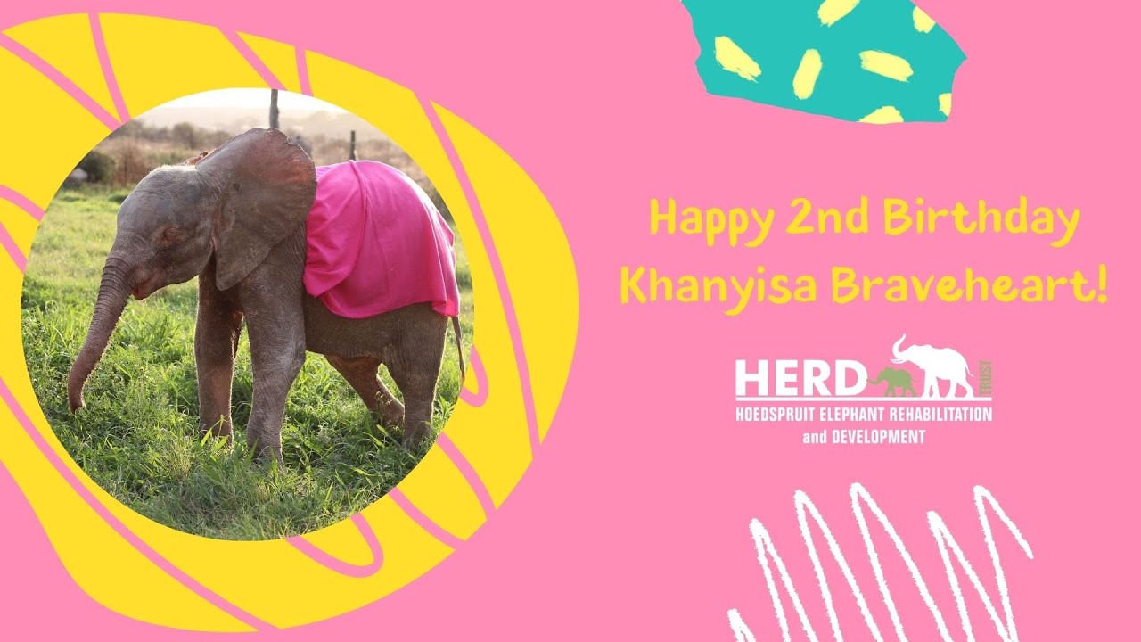 Happy 2nd Birthday, Khanyisa Braveheart! How Far You've Come! 🥳🥳