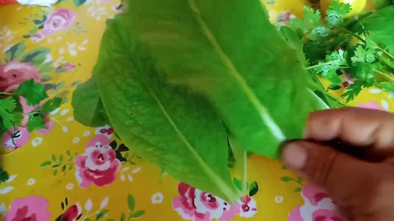 Colheitas de verduras maravilhosas