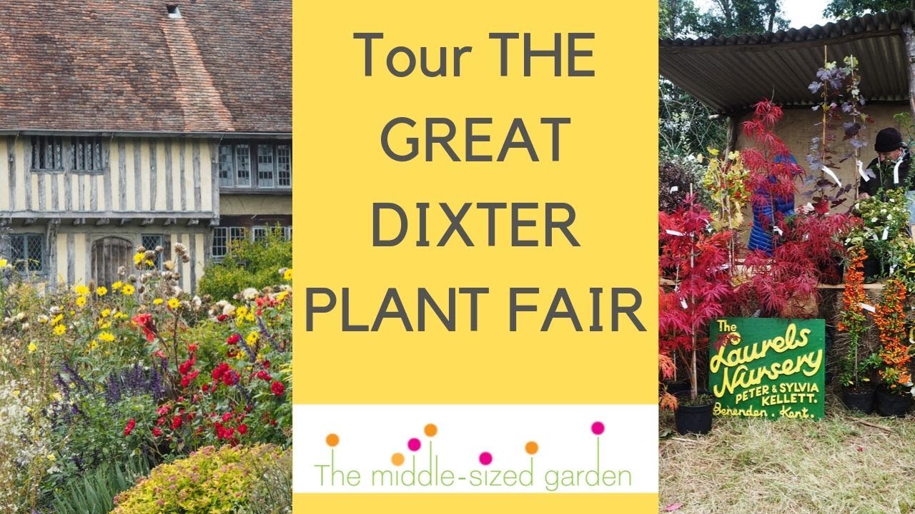 Tour the Great Dixter Autumn Plant Fair