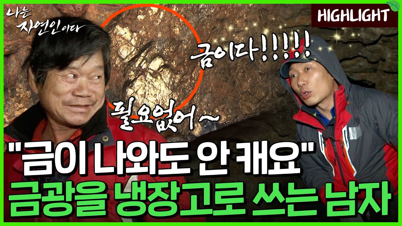 황금을 발밑에 두고, 산나물을 뜯는 행복이란~♪｜자연인 하이라이트 136회