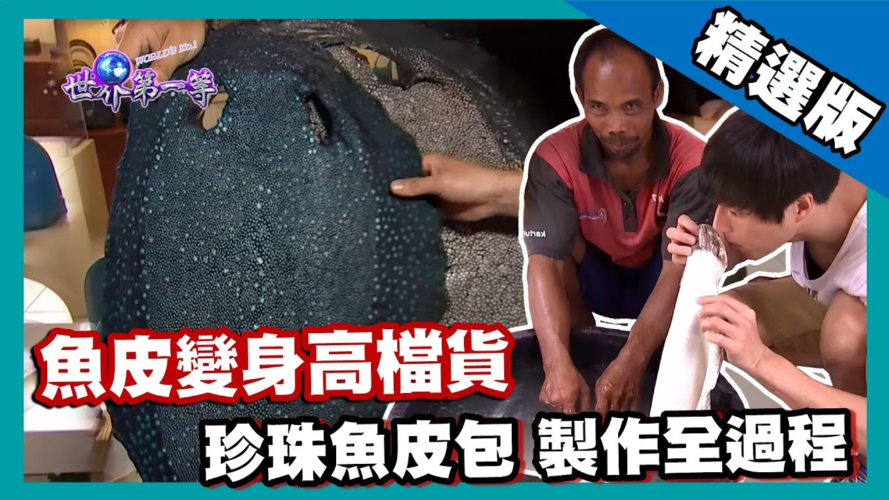 【印尼】魚皮變身高檔耐磨皮革 東南亞必買珍珠魚皮包｜《世界第一等》689集精華版