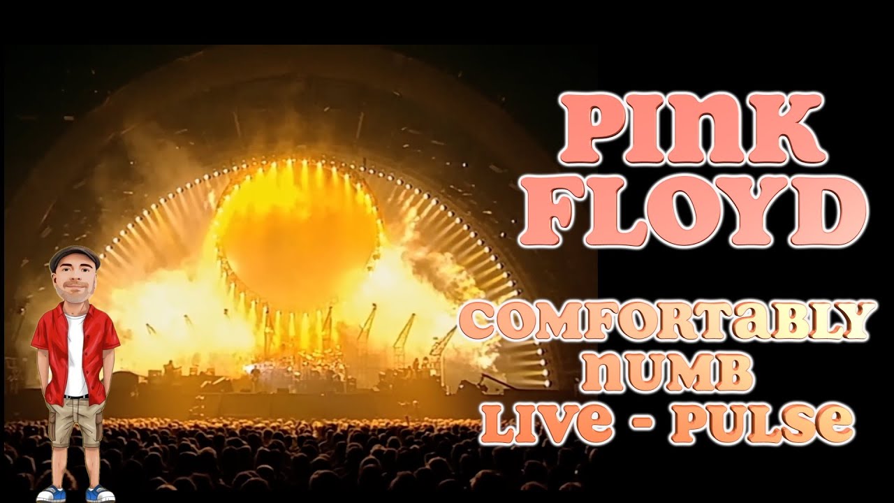 Давайте послушаем Pink Floyd: Comfortably Numb