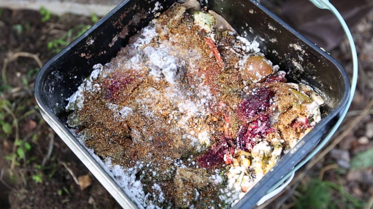 How to Bokashi your food waste