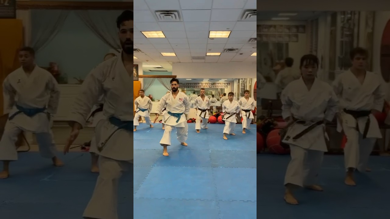 BASIC KARATE TRAINING STANCES