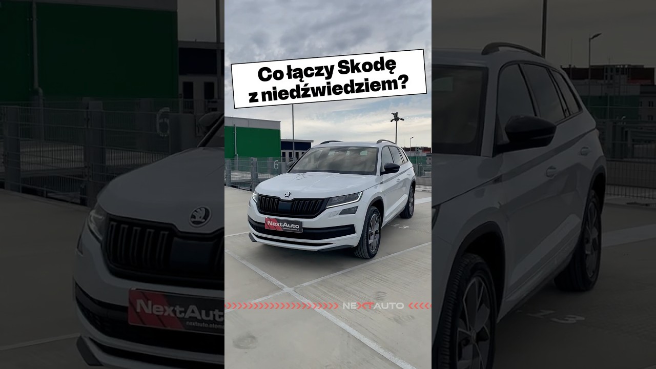 Skoda z pazurem? Skoda Kodiaq!