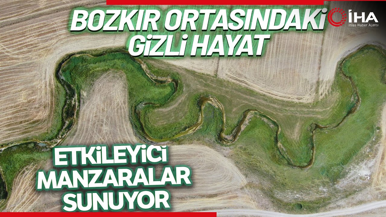 Bozkır Ortasındaki Gizli Hayat Dron İle Görüntülendi